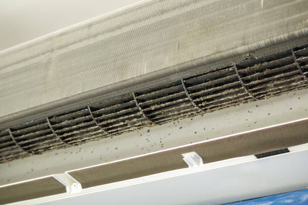 Best Dryer Vent Cleaning Services  in Garland, TX